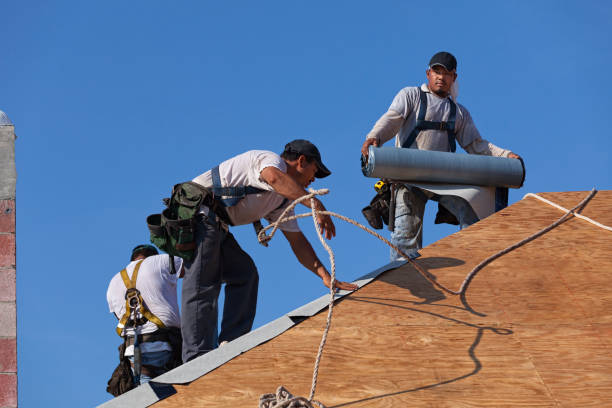 Best Local Roofing Companies  in Fountain Hill, PA